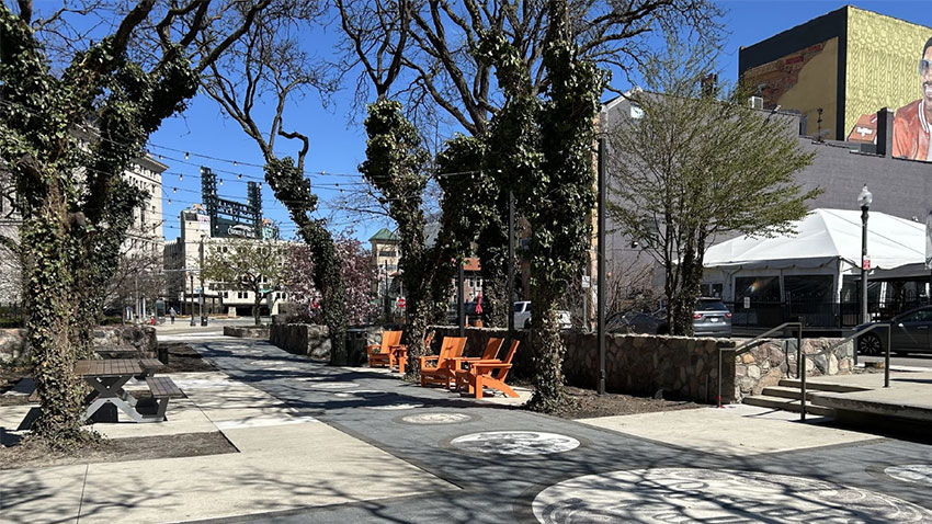 chairs and picnic tables under ivy-covered trees